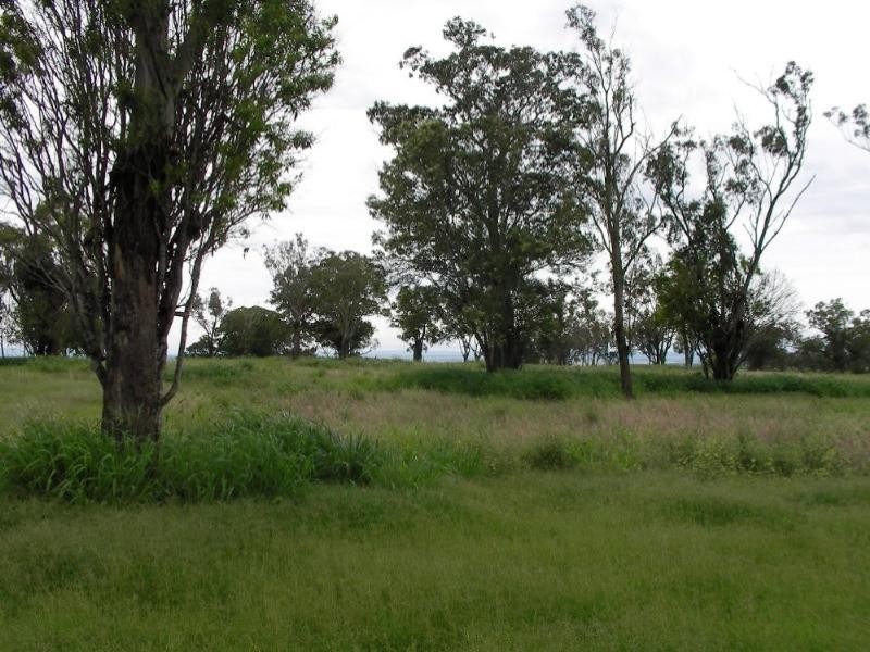 L6 Grinkes Road, Oakey QLD 4401