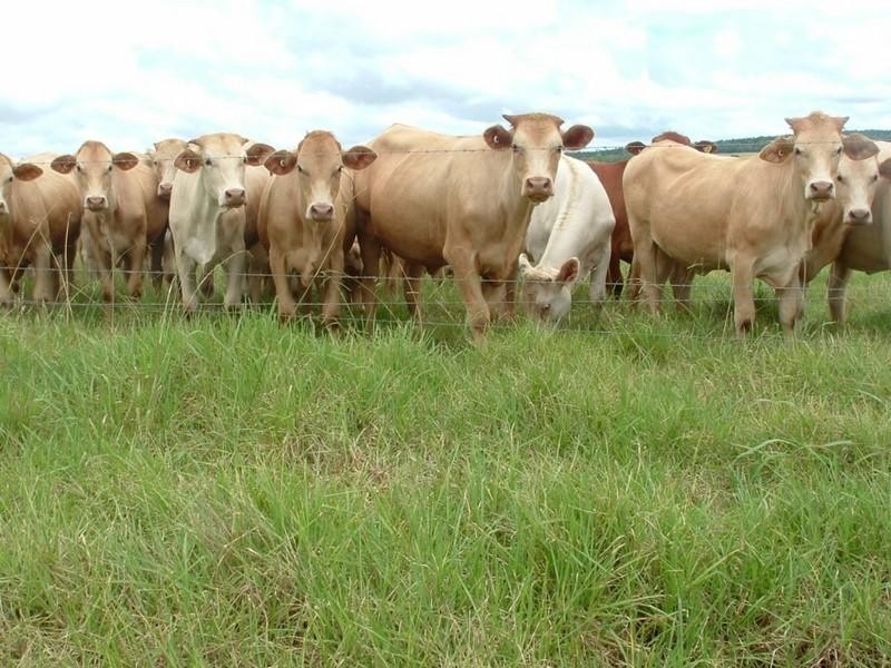 L1 & L 5 New England Highway, Yarraman QLD 4614