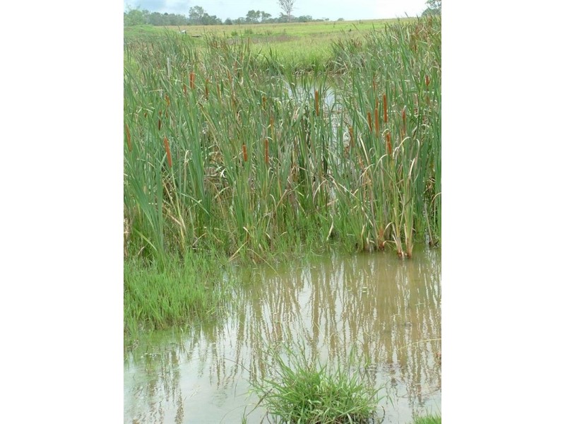 L1 & L 5 New England Highway, Yarraman QLD 4614