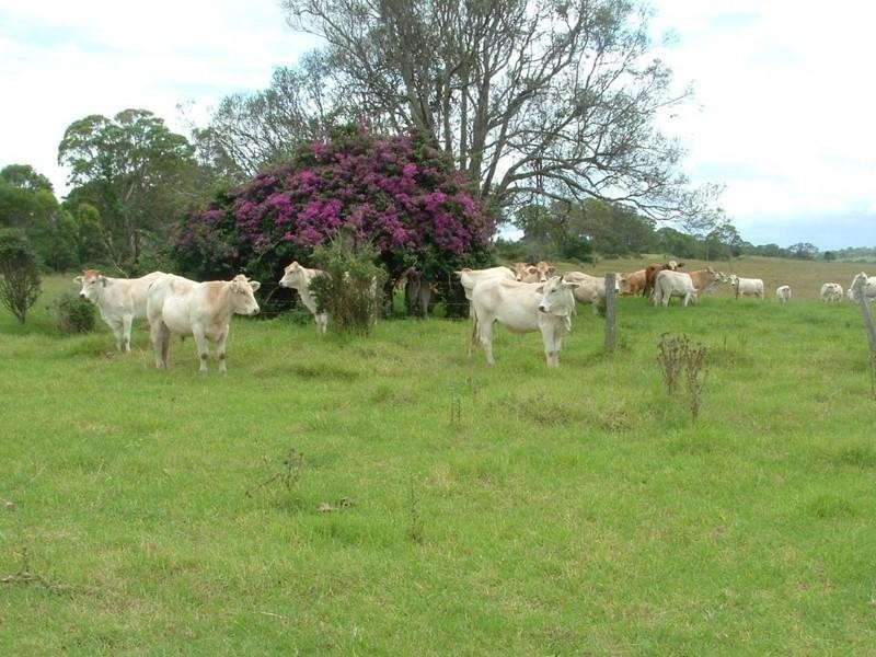 L1 & L 5 New England Highway, Yarraman QLD 4614