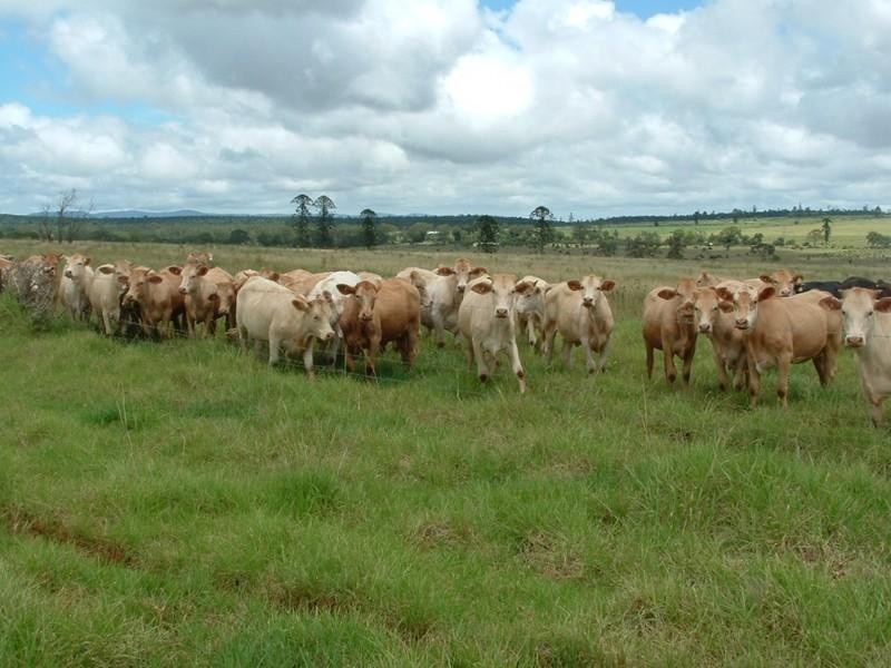 L1 & L 5 New England Highway, Yarraman QLD 4614