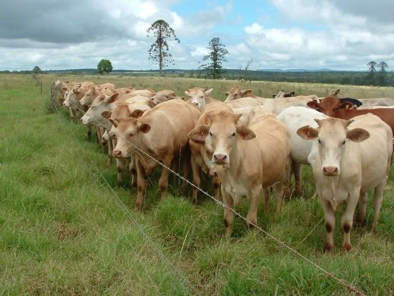 L1 & L 5 New England Highway, Yarraman QLD 4614