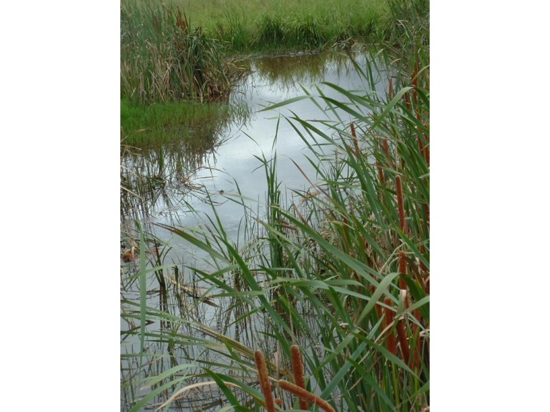 L1 & L 5 New England Highway, Yarraman QLD 4614