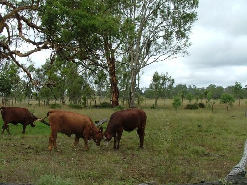 L169 Hill Road, Crows Nest QLD 4355