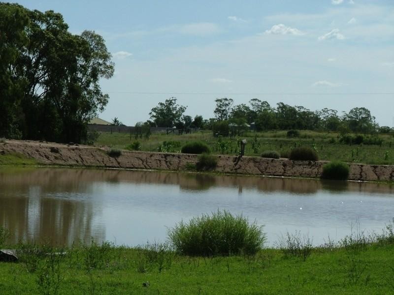 354 Oakey Mt Darry Road, Oakey QLD 4401