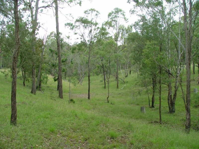 . Palmtree Road, Ravensbourne QLD 4352