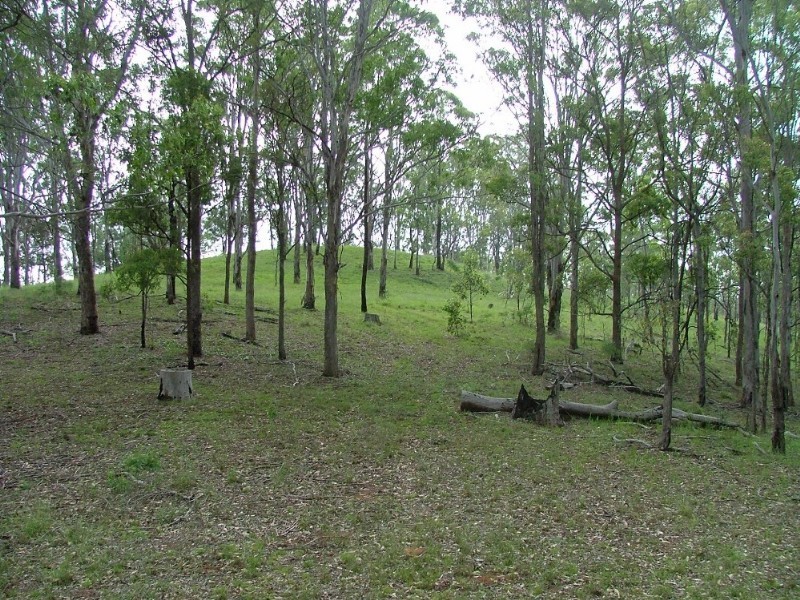 . Palmtree Road, Ravensbourne QLD 4352