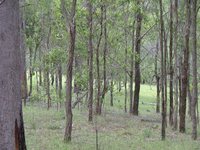 . Palmtree Road, Ravensbourne QLD 4352