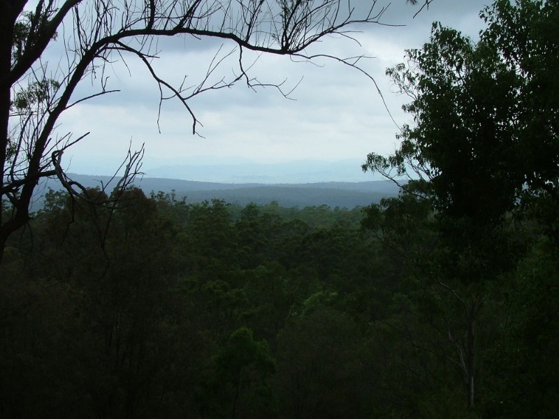 . Palmtree Road, Ravensbourne QLD 4352