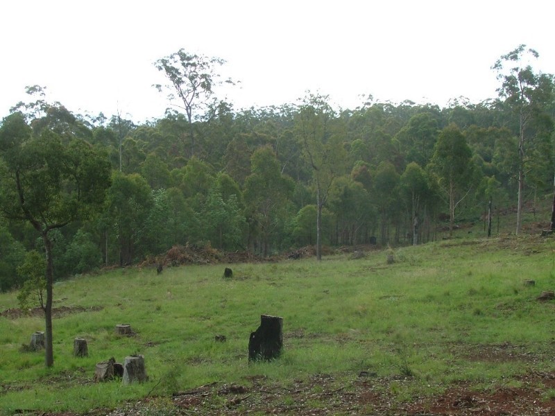 . Palmtree Road, Ravensbourne QLD 4352