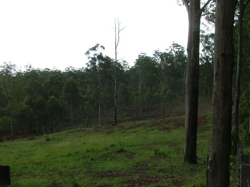 . Palmtree Road, Ravensbourne QLD 4352