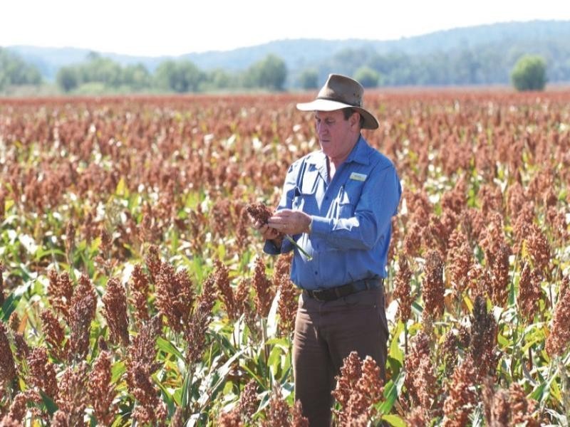 0 Pechey Maclagan Road, Toowoomba QLD 4350