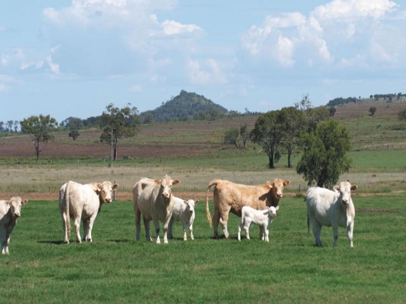 0 Pechey Maclagan Road, Toowoomba QLD 4350