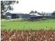 0 Pechey Maclagan Road, Oakey QLD 4401