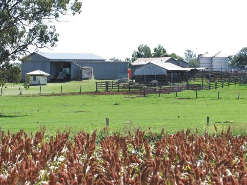 0 Pechey Maclagan Road, Oakey QLD 4401