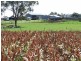 0 Pechey Maclagan Road, Oakey QLD 4401