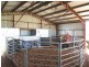 0 Pechey Maclagan Road, Oakey QLD 4401