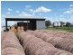 0 Pechey Maclagan Road, Oakey QLD 4401