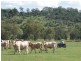 0 Pechey Maclagan Road, Oakey QLD 4401