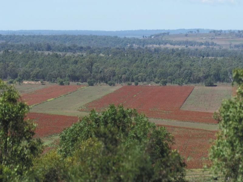 0 Pechey Maclagan Road, Crows Nest QLD 4355