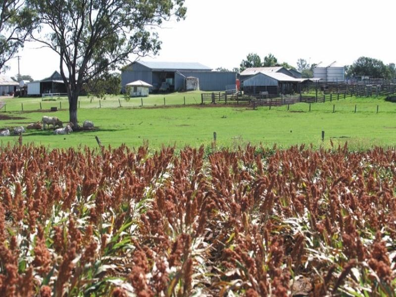 0 Pechey Maclagan Road, Crows Nest QLD 4355