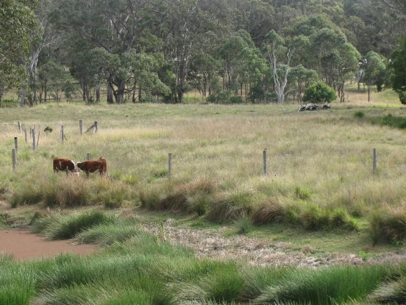 10 Hayden Street, Crows Nest QLD 4355