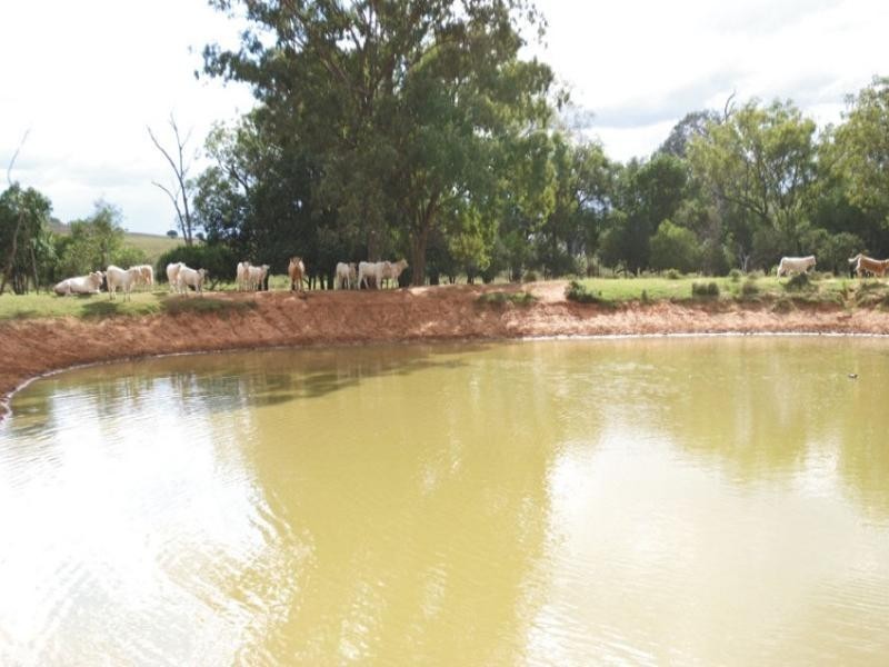 0 Pechey Maclagan Road, Oakey QLD 4401