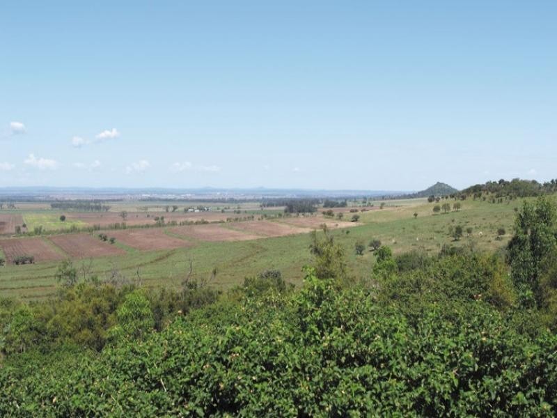 0 Pechey Maclagan Road, Oakey QLD 4401