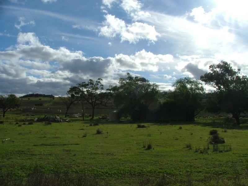 0 Pechey Maclagan Road, Oakey QLD 4401