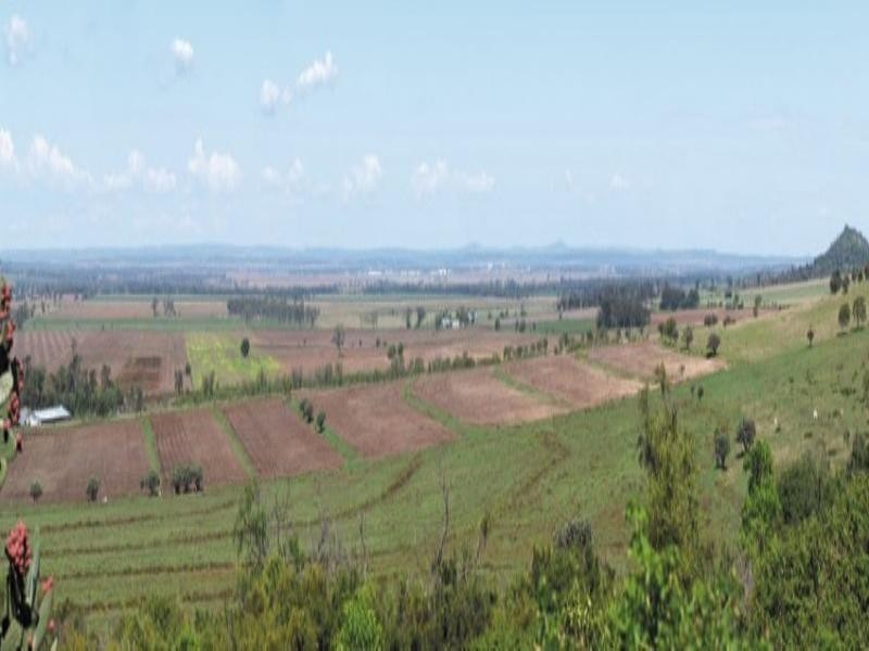 0 Pechey Maclagan Road, Crows Nest QLD 4355