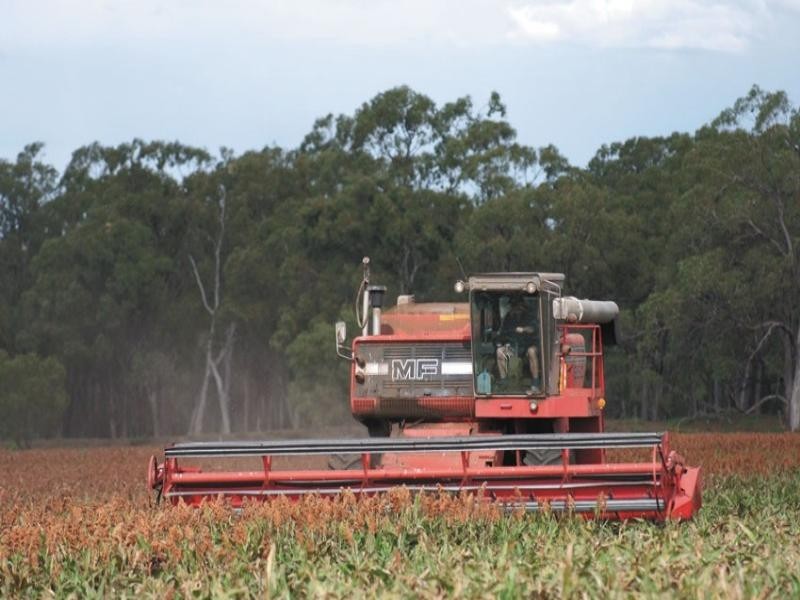 0 Pechey Maclagan Road, Oakey QLD 4401