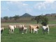 0 Pechey Maclagan Road, Oakey QLD 4401