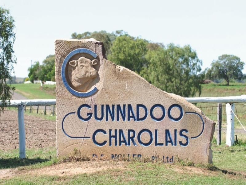 0 Pechey Maclagan Road, Crows Nest QLD 4355