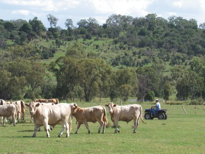 0 Pechey Maclagan Road, Toowoomba QLD 4350