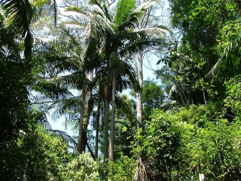 00 Case Road, Ravensbourne QLD 4352