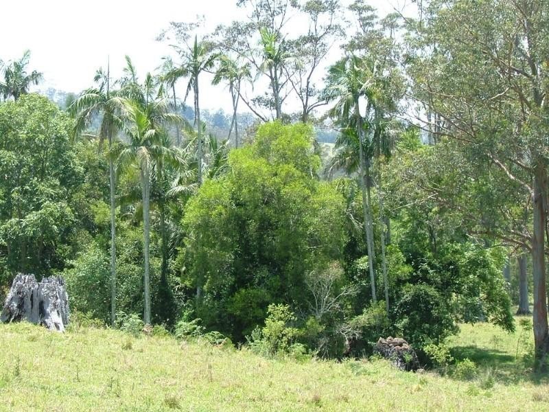 00 Case Road, Ravensbourne QLD 4352