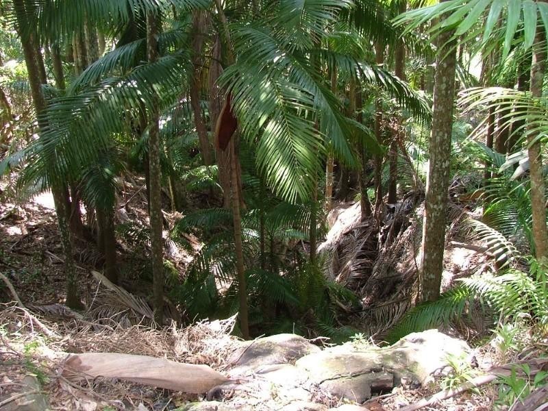 00 Case Road, Ravensbourne QLD 4352