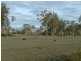 . Kulpi-Quinalow Road, Kulpi QLD 4352