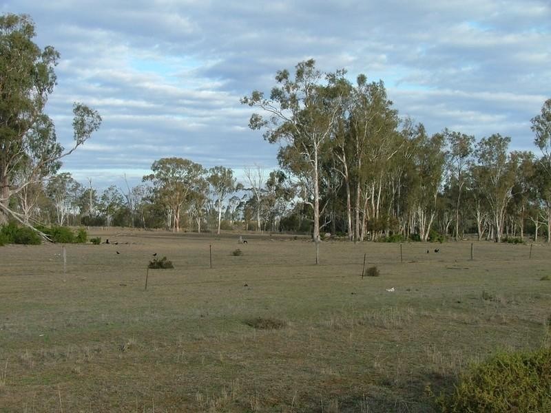 . Kulpi-Quinalow Road, Kulpi QLD 4352