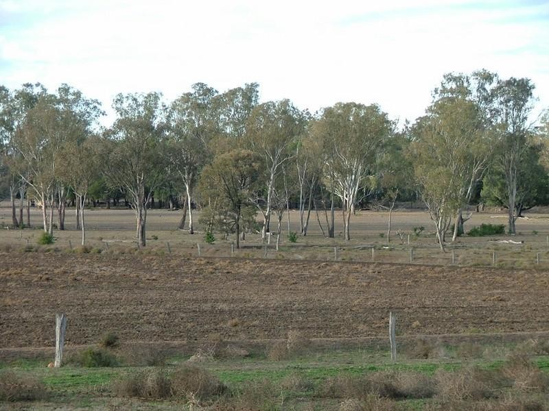 . Kulpi-Quinalow Road, Kulpi QLD 4352