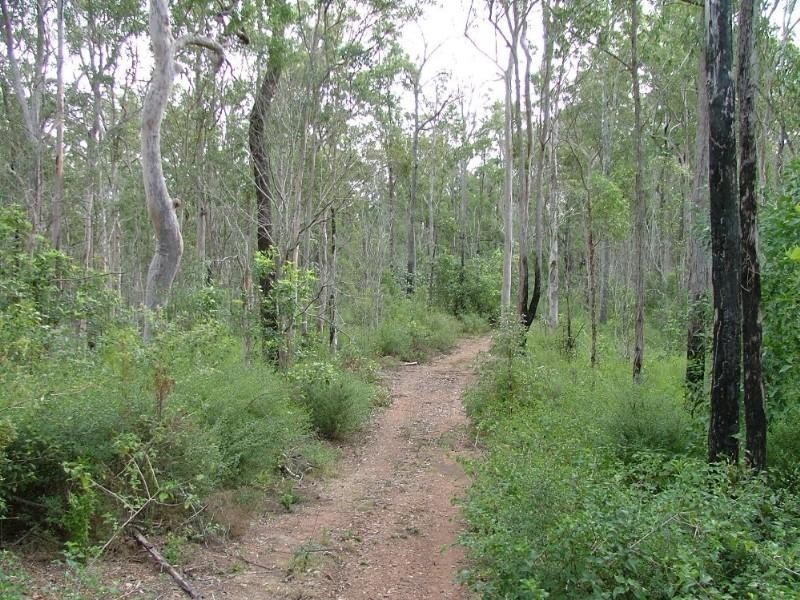 Lot 100 Mt Binga Road, Blackbutt QLD 4306