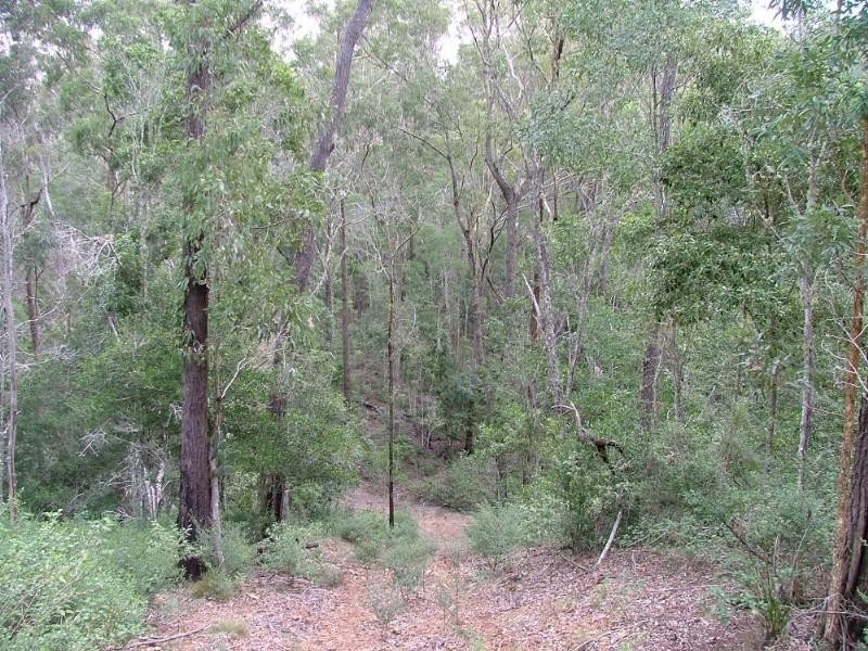 Lot 100 Mt Binga Road, Blackbutt QLD 4306