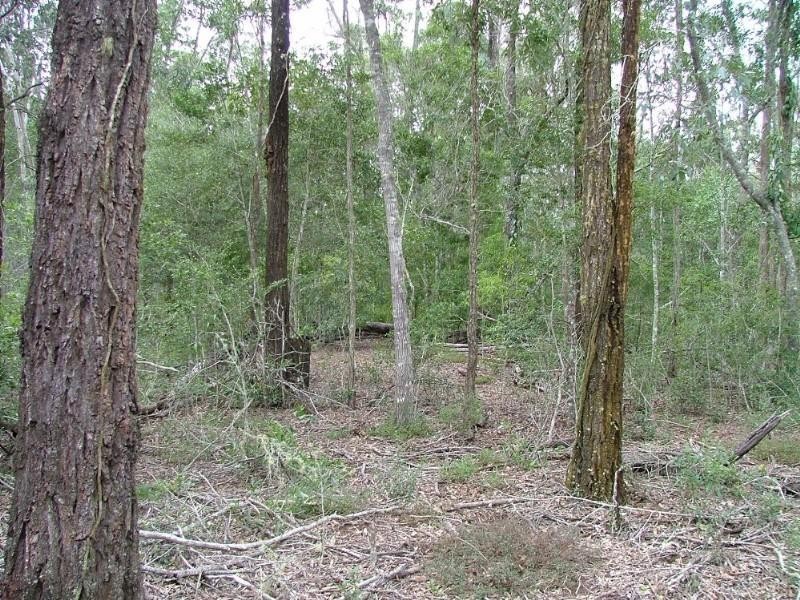 Lot 100 Mt Binga Road, Blackbutt QLD 4306