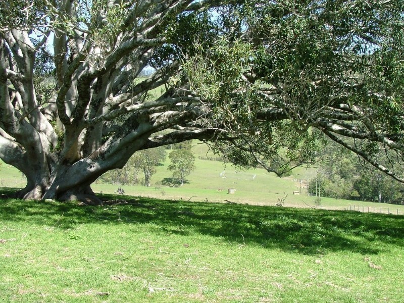 Lot G Esk – Hampton Road, Ravensbourne QLD 4352