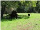 Lot G Esk – Hampton Road, Ravensbourne QLD 4352
