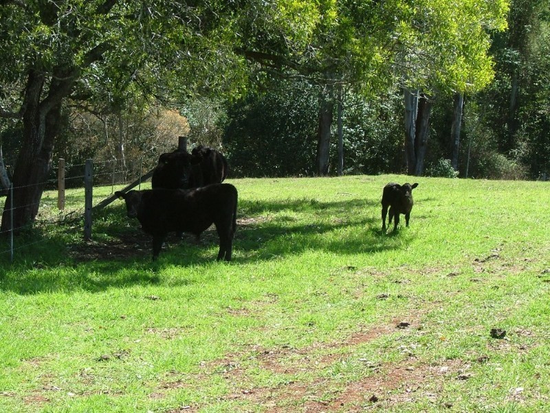 Lot G Esk – Hampton Road, Ravensbourne QLD 4352