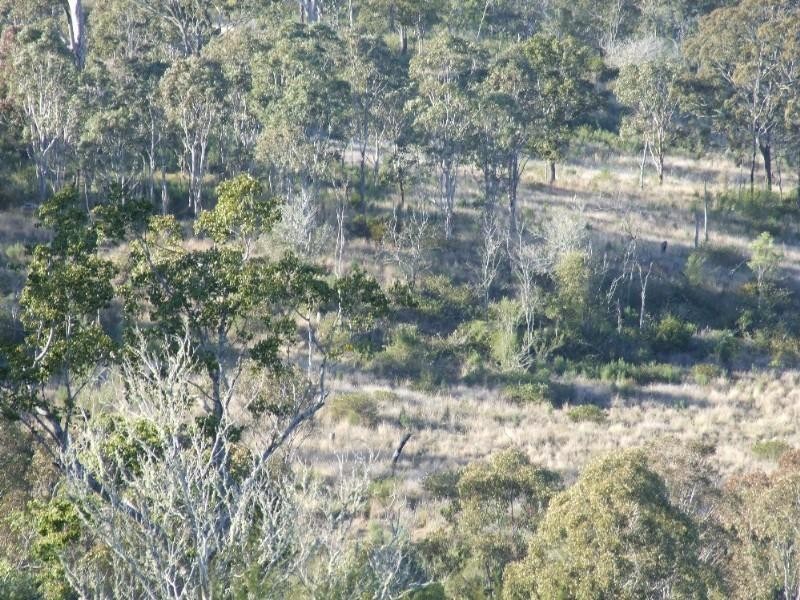 0 Northdurft Road, Crows Nest QLD 4355