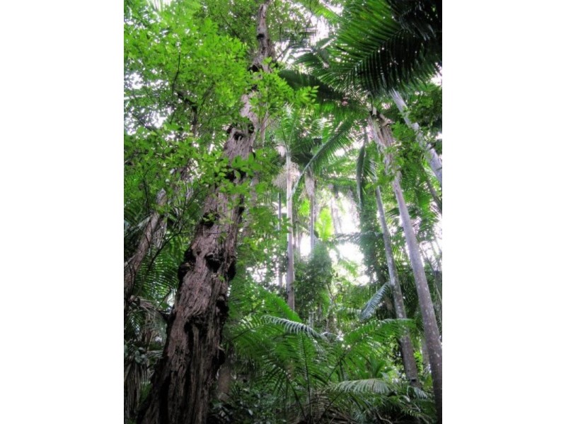 0 Seventeen Mile Road, Ravensbourne QLD 4352