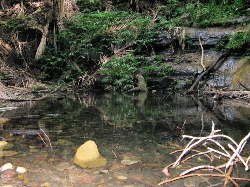 0 Seventeen Mile Road, Ravensbourne QLD 4352