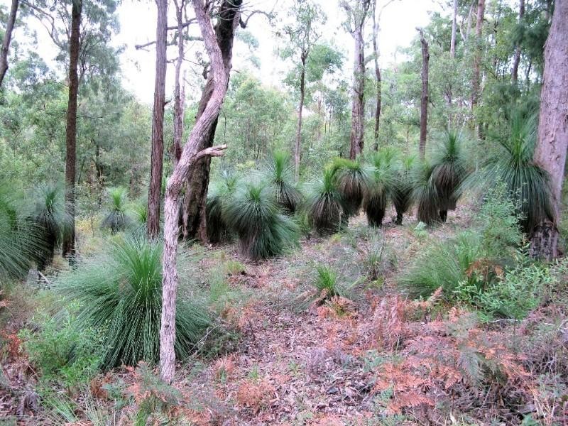 0 Seventeen Mile Road, Ravensbourne QLD 4352